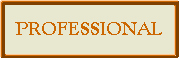 The Professional Section