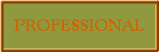 The Professional Section